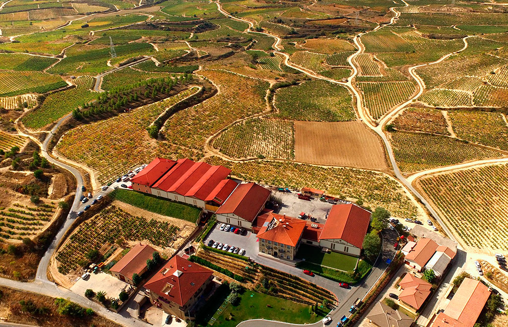 Luis Cañas Winery - Wine Tour Viabo